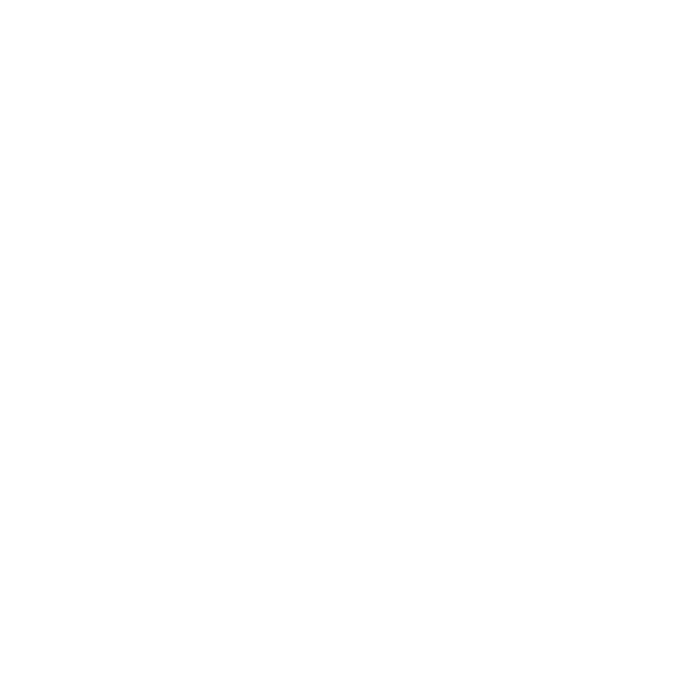 AceZone Earphones (Unreleased) - In Ears